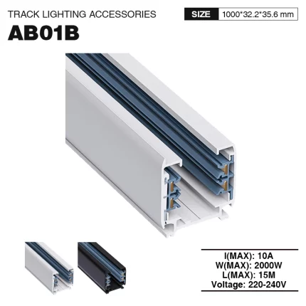 4-filum quadratum genus C sectio 1m alba TRA001-AB01B Kosoom-Track Lightning Rails - 01