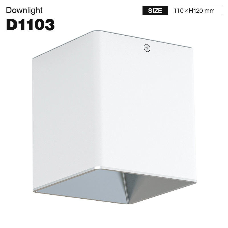 D1103 - 20W 3000K Ra90 UGR≤24 White - Downlights-Retail Store Lighting--01