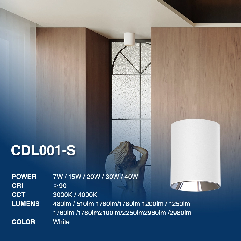 D1002 - 7W 4000K Ra90 UGR≤28 အဖြူရောင် - Downlight- လက်လီဒေါင်းလုဒ်များ--02