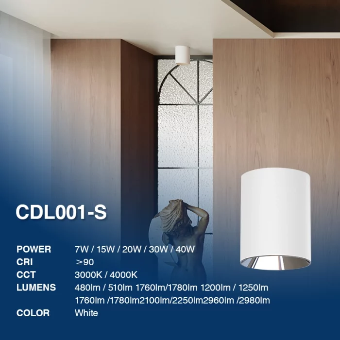 D1008 - 30W 3000K Ra90 UGR≤27 흰색 - LED 다운라이트-다운라이트--02