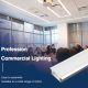 LED Aluminum Channel L2000×30.3×9.8mm - SP13-Ceiling LED channel--02