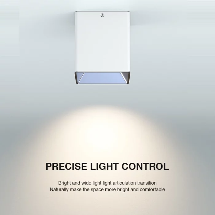 D1102 - 10W 4000K Ra90 UGR≤22 Bán - Downlight-Soilse Feistithe ar an Dromchla --04