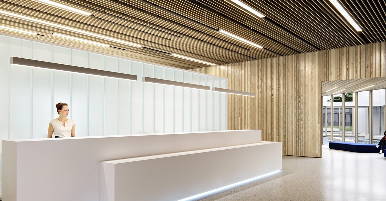 LED Linear Lights