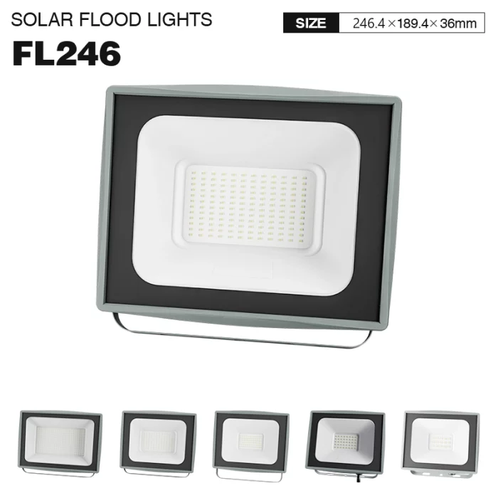 FL246 - 100W 6500k IP65 Ra80 10000lm Black - LED Flood Lights-Outdoor Flood Lights-FL000-01
