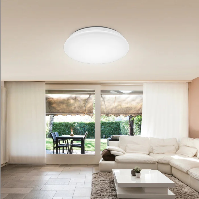 HC650 45W ceiling light