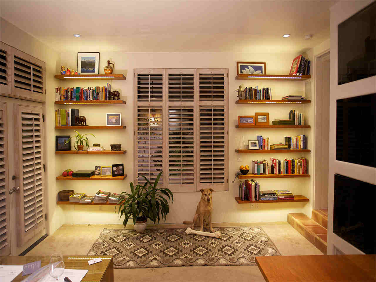 bookshelf light