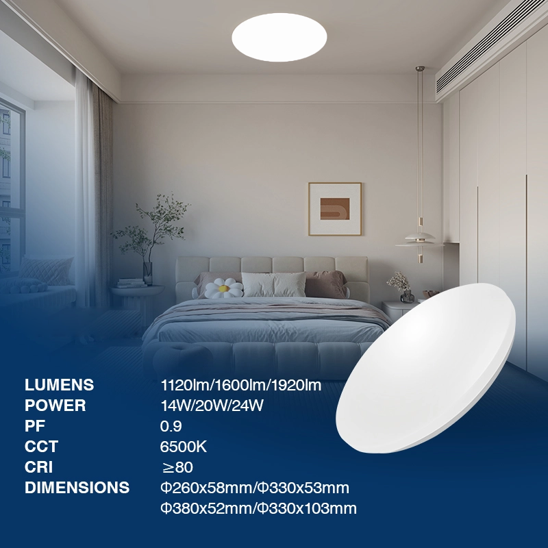 Ceiling LED Light