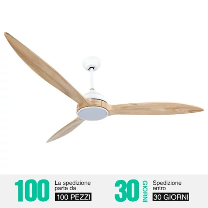 Ceiling Fan Light / Dimmable / 20W / Motor DC38W-Bedroom Ceiling Fan na May Mga Ilaw--fansa