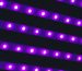 shopilylights purple strip led